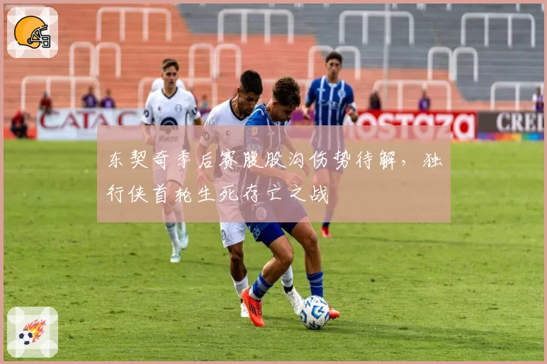 东契奇季后赛腹股沟伤势待解，独行侠首轮生死存亡之战