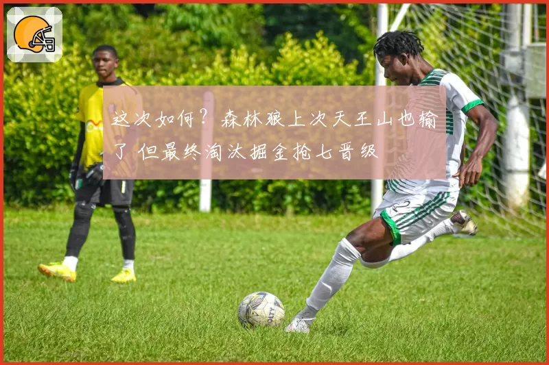 这次如何？森林狼上次天王山也输了 但最终淘汰掘金抢七晋级