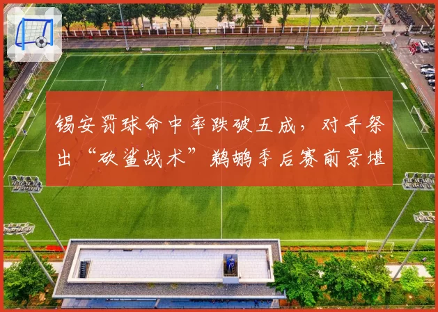 锡安罚球命中率跌破五成，对手祭出“砍鲨战术”鹈鹕季后赛前景堪忧