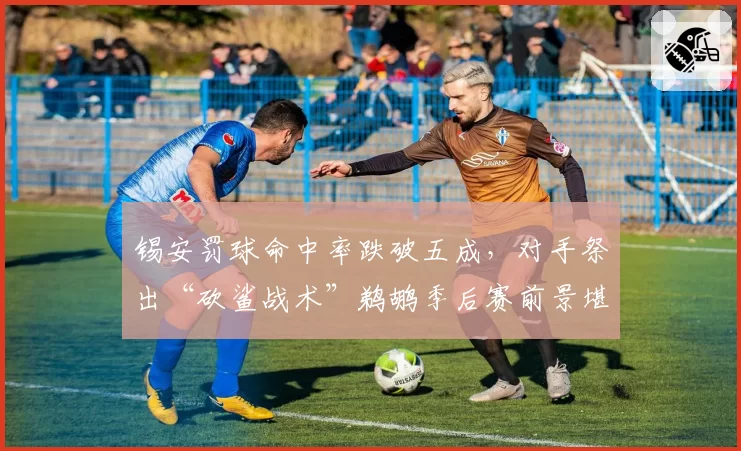 锡安罚球命中率跌破五成，对手祭出“砍鲨战术”鹈鹕季后赛前景堪忧
