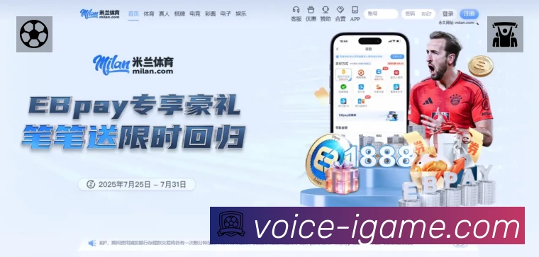 爱游戏安全运营支持